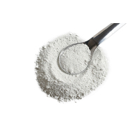 ** Titanium White Powder - 100G (Ucg-Other Mixes)